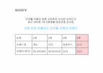 [광고기획안] 소니 디지털카메라 광고기획제안서-13