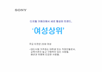 [광고기획안] 소니 디지털카메라 광고기획제안서-16