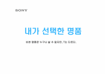 [광고기획안] 소니 디지털카메라 광고기획제안서-18