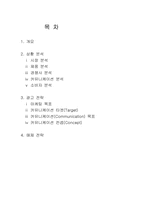 [광고기획안] 소니 디지털카메라 광고기획안-2