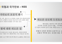 탈 냉전기 미국의 국가 안보전략-11