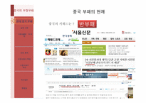 중국의 부정부패는 얼마나 심각한 것인가-3