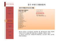 중국의 부정부패는 얼마나 심각한 것인가-8