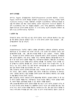 유아기 인지발달-2