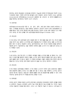 유아기 인지발달-5