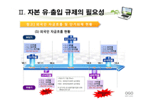 거시 건전성 규제를 통한 자본 유출입 안정화 방안-10