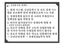 유로화의 단점 유로화 에 대한 비관론-3
