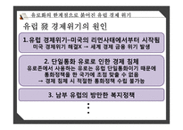 유로화의 단점 유로화 에 대한 비관론-7