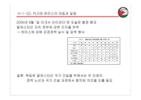 팔레스타인 건국 과정과 결과-18