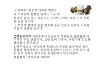 브라질 음식문화의 이해-13