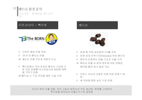 빽다방(PAIK’s Coffee)베트남 진출전략-11