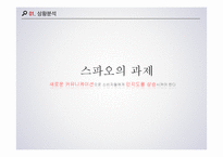 SPAO 광고기획 레포트-13
