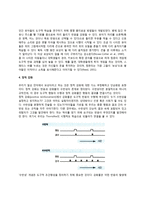 조작적 조건형성(도구적 조건형성)의 정의와 역사 - 손다이크와 시행착오학습, 스키너의 조작적 학습, 조작적 조건화의 연구방법, 정적강화-4