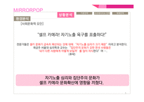 삼성전자 미러팝 광고 커뮤니케이션 기획서-5