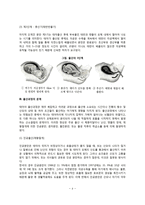 출산의 징후, 출산과정, 출산 시 문제-4