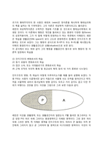 형태심리학과 통찰학습(레빈의 장이론과 학습, 쾰러의 통찰학습)-3