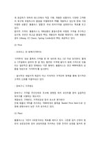 홈플러스 기업 경영분석과 홈플러스 마케팅 SWOT,STP,4P전략분석및 홈플러스 미래전략제언-10