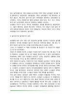 아동기 놀이발달(아동기 놀이의 특징)-4