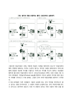 아동의 사회인지능력 발달(마음의 이론, 셀만의 발달단계)-2