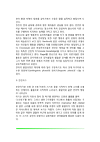 [인간과 언어] 언어의 구조와 특성(특징), 언어획득과 인간의 언어발달-8