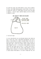[정신분석이론 프로이드, 융, 아들러의 정신분석이론-5