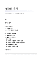 [청소년 문제] 청소년 비행, 청소년 물질사용(약물사용)-1