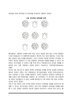 [아동기 인지발달] 피아제(Piaget)의 인지발달이론(감각운동기, 전조작기, 구체적 조작기의 인지적 특성)-11