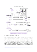 [아동발달이론] 학습이론(고전적 조건형성이론, 조작적 조건형성이론), 사회학습이론, 정보처리이론, 사회문화이론, 동물행동학이론, 생태학적 이론-3