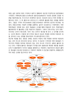 기억과정(감각기억, 단기기억, 작업기억, 장기기억)-10