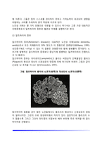 [성인기 인지발달] 성인후기의 인지적 변화(성인 후기의 지능변화 및 기억능력 변화)-6