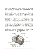 [신경계의 구조와 기능] 중추신경계와 말초신경계-3