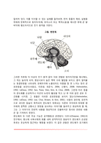 [신경계의 구조와 기능] 중추신경계와 말초신경계-7