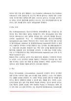 [신경계의 구조와 기능] 중추신경계와 말초신경계-10