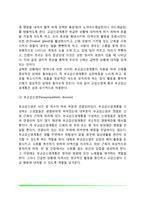 [신경계의 조직] 중추신경계와 말초신경계, 신경계의 구조와 기능-11