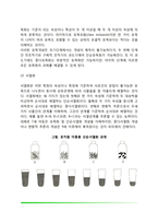 [아동기 인지발달] 아동기 지각발달, 언어발달, 기억발달, 유목화 및 서열화 능력발달, 기억과 보존개념, 인지양식-6