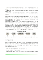 [작업동기] 형평이론, 기대-유인가이론, 목표설정이론, 직무재설계이론, 조직행동수정이론-7