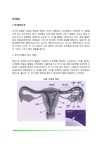 [태내발달] 태내발달단계, 태내발달에 영향을 미치는 요인-2