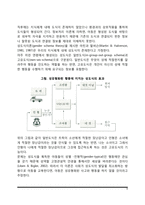 성유형화 과정(성의 이해, 성역할 고정관념, 양성성, 성유형화 이론)-8
