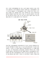 신경전달의 원리(시냅스의 구성과 작용원리, 신경통합의 원리, 신경전달의 전기생리학적 원리)-3