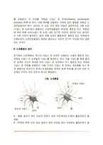 신경전달의 원리(시냅스의 구성과 작용원리, 신경통합의 원리, 신경전달의 전기생리학적 원리)-4