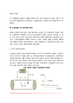 신경전달의 원리(시냅스의 구성과 작용원리, 신경통합의 원리, 신경전달의 전기생리학적 원리)-5