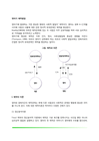 영아기 애착발달(영아기 애착발달단계 및 애착이론, 영아의 애착유형)-2