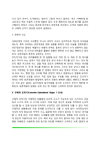 피아제(Piaget)의 인지발달이론(인지발달단계, 교육적 시사점 및 평가)-6