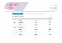 금융기관-신용보증기관의 종류와 전망 및 시사점-19