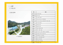 홍진HJC의 SWOT, 4P분석 및 해외진출 사례와 성공요인 분석-5