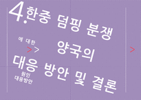 한국과 중국의 반덤핑 사례 분석-17