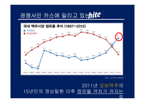 하이트 맥주 마케팅조사-5