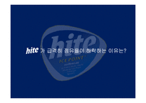 하이트 맥주 마케팅조사-6
