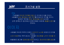하이트 맥주 마케팅조사-8