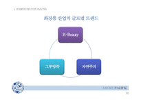 아모레퍼시픽 swot 분석 및 중국시장 진출 전략-10